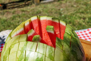 Red cut Watermelon ; Citrullus lanatus