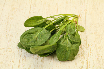 Fresh green Spinach leaves heap