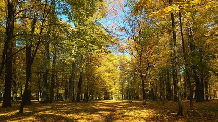 Barwy jesieni w parku w Strzelcach Opolskich Polska © Roman