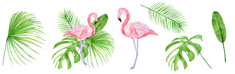 Watercolor illustration set tropical exotic bird pink flamingo. Perfect as background texture, wrapping paper, textile or wallpaper design. Hand drawn isolated bird - obrazy, fototapety, plakaty
