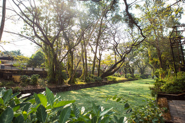 River channel city Allapuzha, India, Kerala. Overgrown with green algae, in a stone embankment, a narrow channel through the city with overhanging branches of tropical trees.