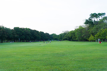 Sunset at city park green grass field