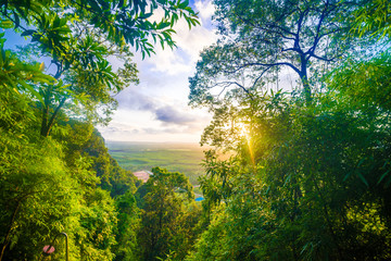 Morning sunrise on green forest mountain