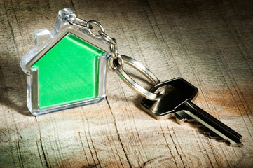 Keychain and key - 335501029