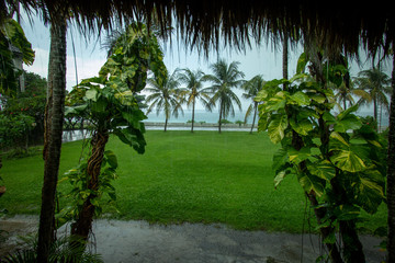 Tropical rain on the coast