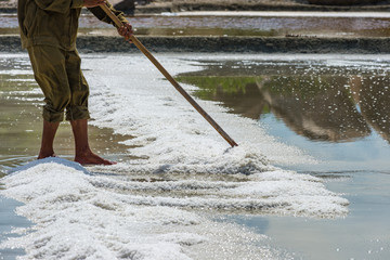 Worker using wooden tool harvesting salt at sea salt farm
