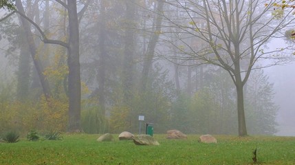 Park strzelecki w jesienne mgle polska © Roman