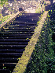 A mystique stair located in a temple in Bali slightly vegetated with moss and plants