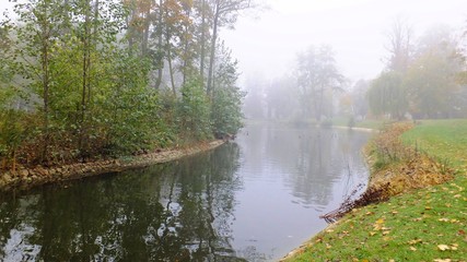 Park strzelecki w jesienne mgle polska