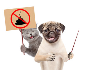 Happy kitten and  pug puppy holds plastic bag and sign "no dog poop". Concept cleaning up dog droppings. isolated on white background