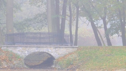 Park strzelecki w jesienne mgle polska