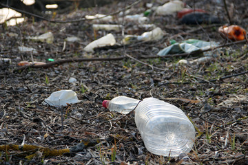 Obraz premium Garbage, trash in nature, an environmental issue