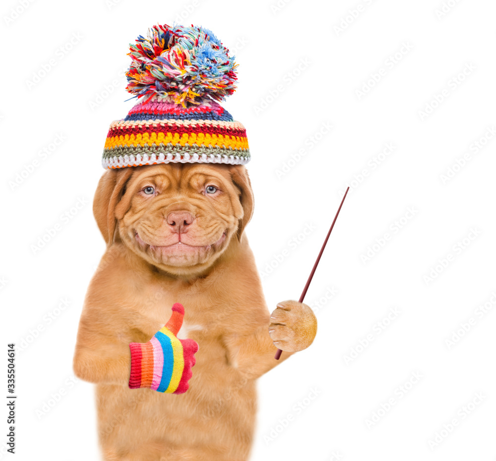 Poster Smiling puppy wearing a warm hat points away on empty space and shows thumbs up gesture. isolated on white background
