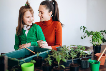 Mother daughters planting seedlings indoor. Hands of smiling girls and little sprouts and garden tools