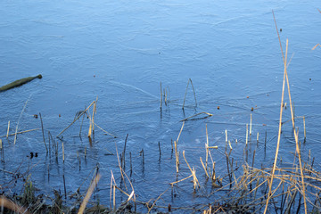 A thin crust of ice on the water surface of a lake or pond