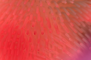 Abstract ball shape with rod shaped attachments