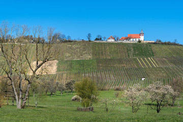 Michaelsberg bei Cleebronn