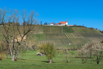 Michaelsberg bei Cleebronn