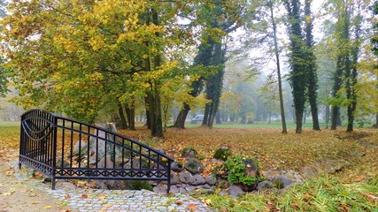 Fototapeta na wymiar Park strzelecki w jesienne mgle polska