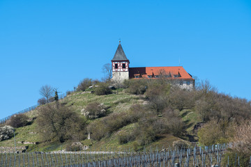 Michaelsberg bei Cleebronn