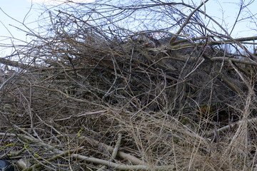 big heap of pruning and brushwood after spring cuts, spring pruning in march