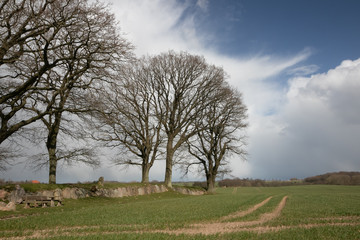 Long Barrow of Karlsminde, archaeological site