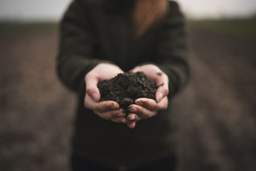 Female hands pouring a black soil in the field. Female agronomist testing a quality of soil. Concept of agriculture. - 335509078