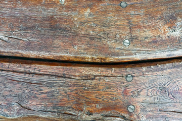 Obraz premium texture of an old tree as a close-up background