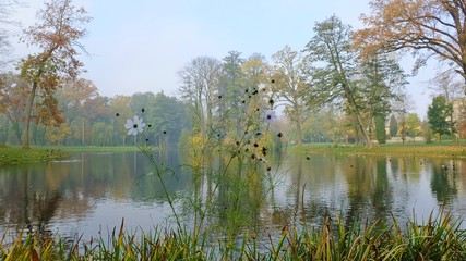 Jesień rozpieszcza kolorami w Strzeleckim parku