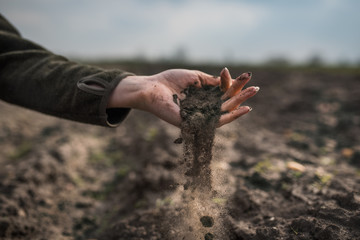 Female hands pouring a black soil in the field. Female agronomist testing a quality of soil. Concept of agriculture. - 335510225