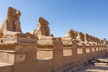 A corridor of ram-headed sphinxes at the entrance of Karnak Temple Complex