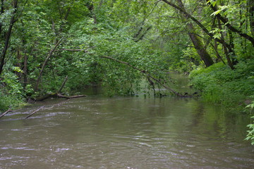 rpen river