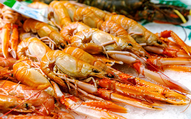 Fresh langoustines lying on ice for sale at the Boqueria market, Barcelona, Spain.