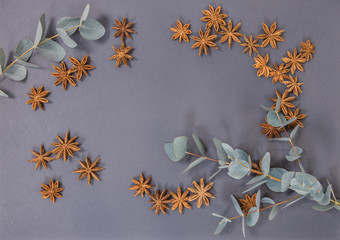 natural leaves of eucalyptus and star anise star lies on a gray background place for your text