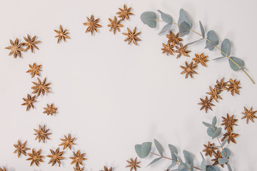 natural leaves of eucalyptus and star anise star lies on a light background place for your text