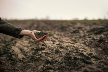 Female hands pouring a black soil in the field. Female agronomist testing a quality of soil. Concept of agriculture.
