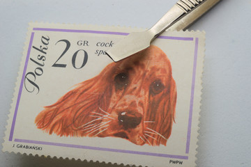Polish stamp with the image of a dog