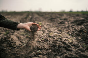 Female hands pouring a black soil in the field. Female agronomist testing a quality of soil. Concept of agriculture.