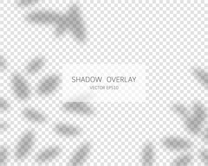 Shadow overlay effect. Natural shadows isolated on transparent background. Vector illustration. 