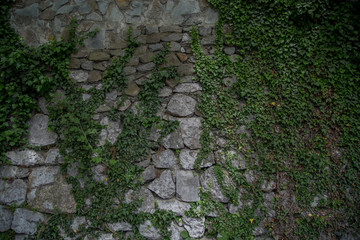 old stone is covered with greenery