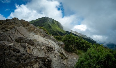 Taiwan forest area at Hehuanshan mountain 