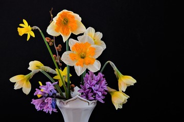 Frühjahrsblüher in einer Vase vor schwarzem Hintergrund