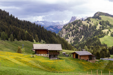 Obraz premium Alpe di Siusi - Seiser Alm - Langkofel mountain group in background in Dolomites, Trentino Alto Adige, South Tyrol, Italy