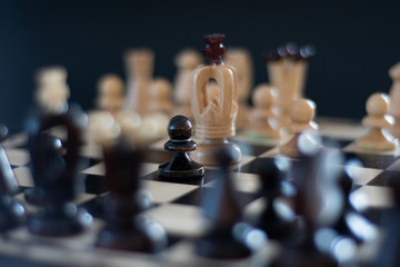 Zostań w domu i graj w szachy. © Piotr