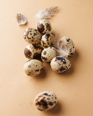  Quail eggs on a brown background with feathers top view. Minimalism, easter card, layout for grocery stores.