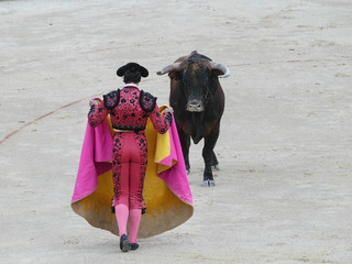Spanish torero performing a bullfight at a big arena