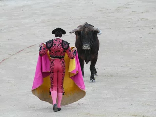 Selbstklebende Fototapeten Spanish torero performing a bullfight at a big arena © Nuki