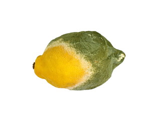 Rotten Lemon fruit isolated onwhite background.