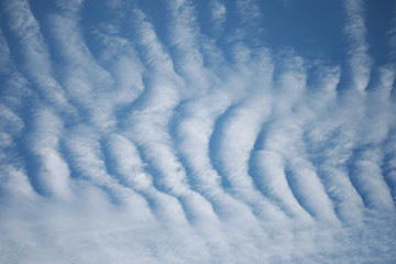 Cloud and blue sky on the summer texture background wallpaper