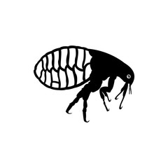 parasite sign
